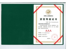 資信等級(jí)證書(shū)